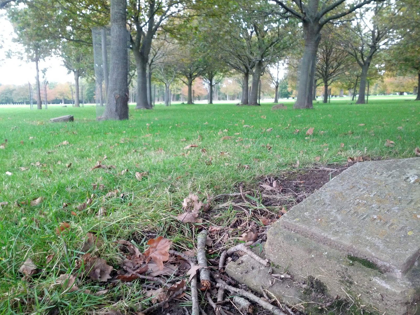 Memorial Trees in Phoenix Park